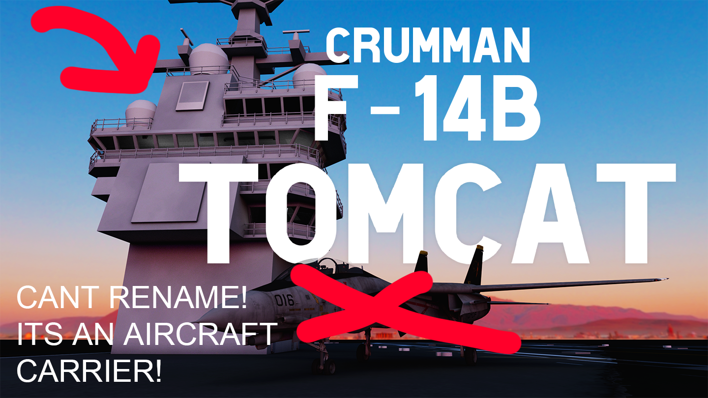 Crumman F 14B Tomcat Preview Image